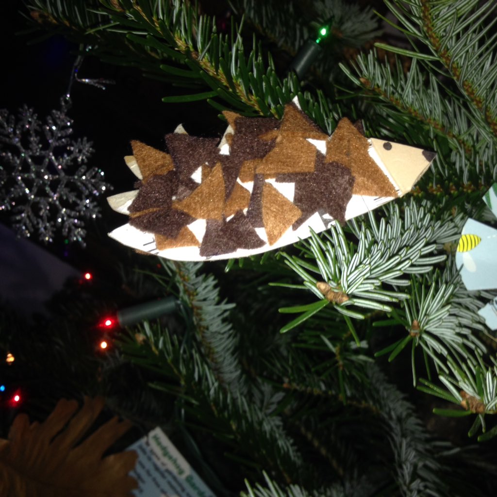 Tuesday Social Club tweet media