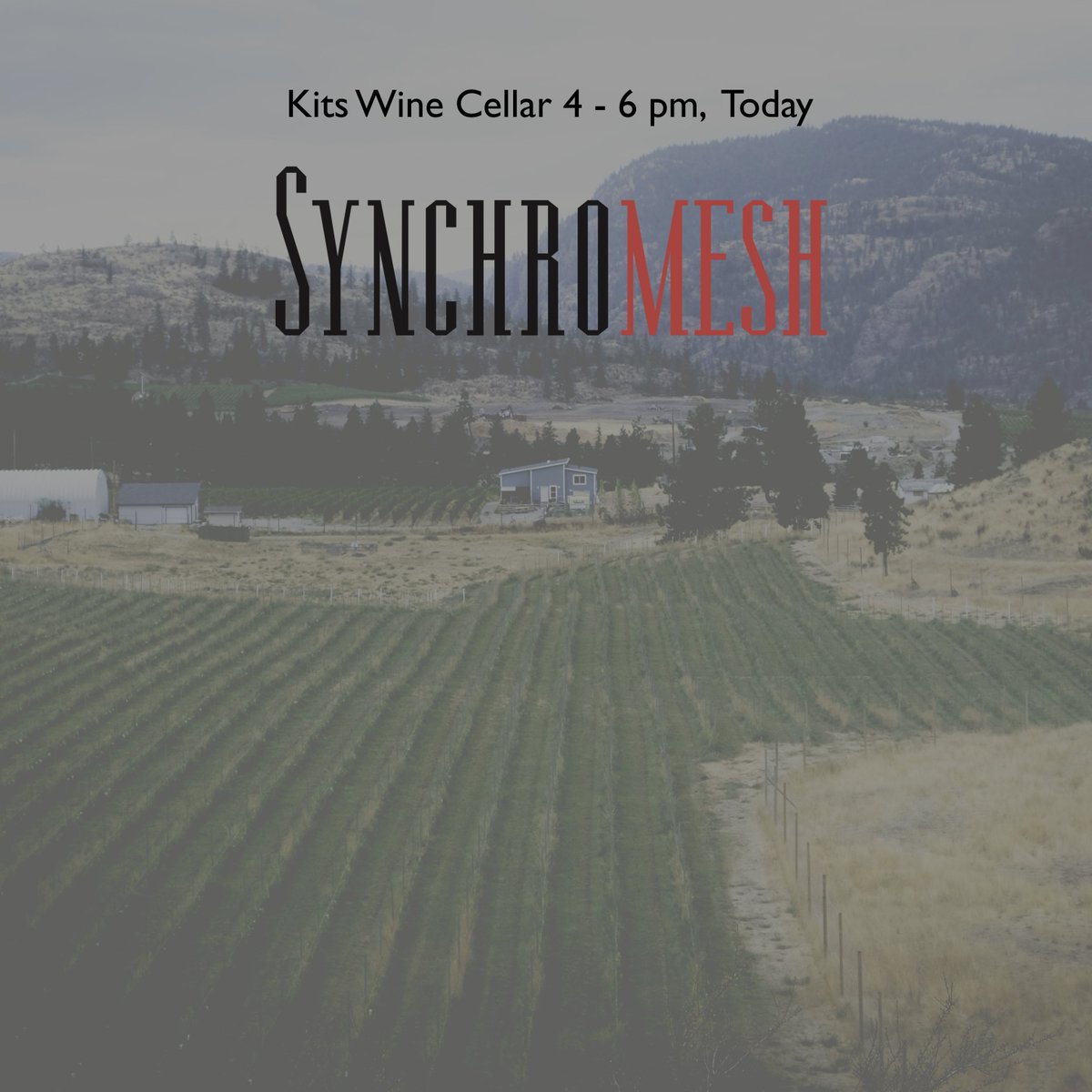 Fancy a splash of <a href="/SynchromeshWine/">SynchromeshWines</a> riesling for your Friday afternoon? Swing by <a href="/kitswine/">KitsilanoWineCellar</a> this afternoon 4 - 6 PM for a little splash to start your december
