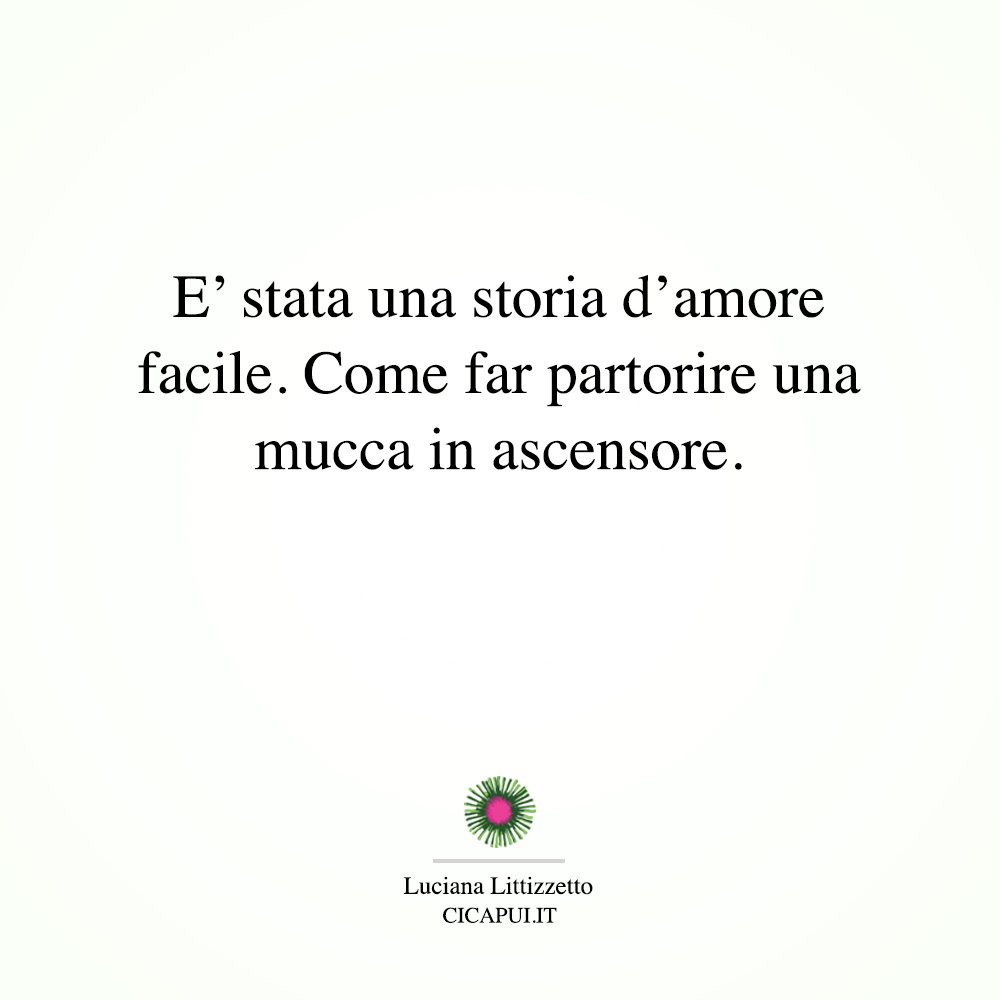 lucianinalitti's tweet photo. È stata una storia d'amore facile. Come far partorire una mucca in ascensore. #benemanonbenissimo #cicapui #frasi #FRASEDELGIORNO https://t.co/lcJjPrXOwz