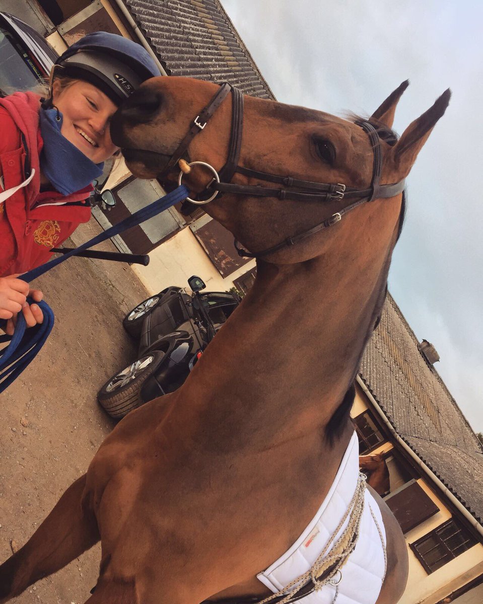 TomMcEwen1's tweet photo. Would appear the main man Toledo is giving @blane_alice some lovin in his new very smart protech @MastaRugs polypad which has been great for lunging whilst I’ve been in Sweden! https://t.co/50Hwkvgkg5 https://t.co/zo4JvpsZFc