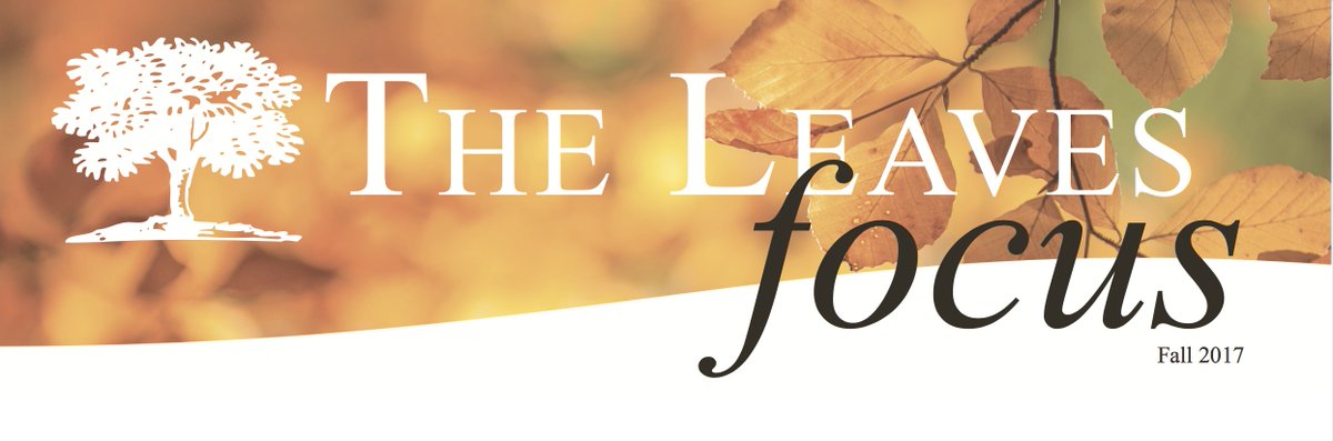 DailyShade's tweet image. Please enjoy a PDF copy of #TheLeaves fall newsletter: goo.gl/xzubtW