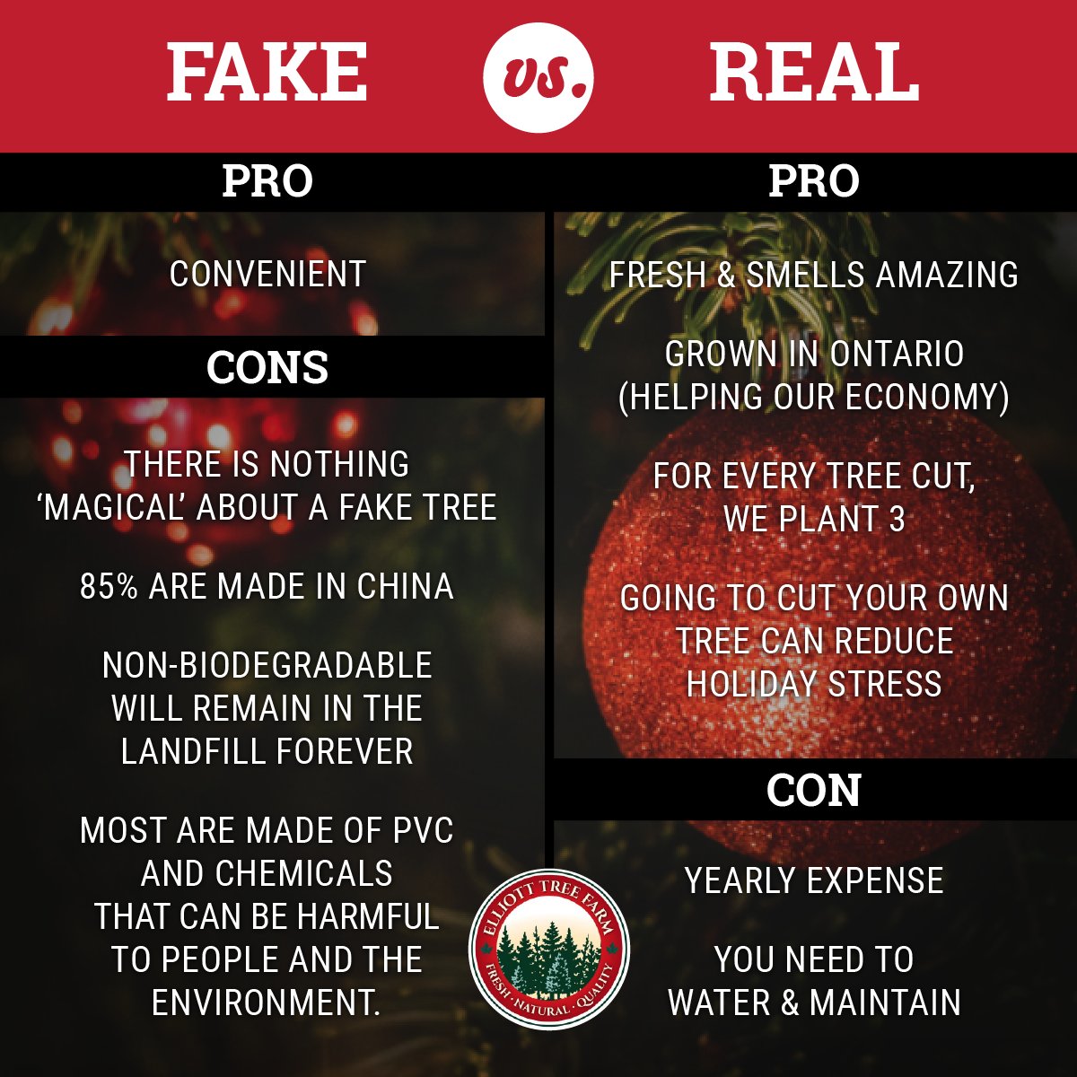 ElliottTreeFarm's tweet photo. We are obviously huge fans of real trees. Check out our fake vs real comparison below and let us know what you think!
.
.
.
#MakeItaTradition #FamilyTradition #ChristmasTreeSeason #Tistheseason #Erin #ElliottTreeFarm #FreshChristmasTree #HolidayDecor https://t.co/oXd42MkqQG