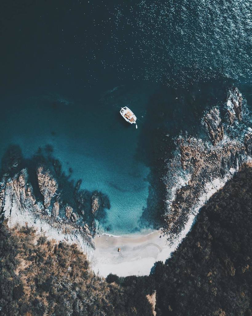 FousheeJake's tweet photo. After a long day of trawling jumbo shrimp on the pacific, Pancho, our skipper, anchored us right off shore, so he could enjoy a mid day snack. To my surprise, I noticed movement on the beach. I swan dived into the big blue and swam straight to shore, eager to explore my curi… https://t.co/hYcn0PBRqm