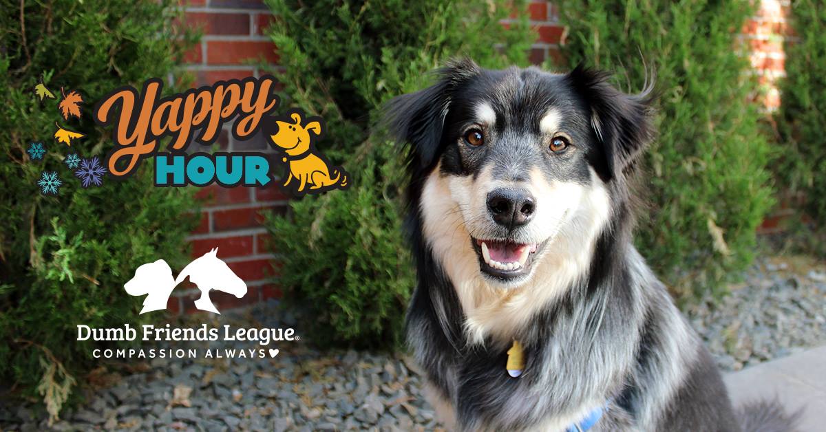 Want a pet photo with Santa? Think you can win our ugly Christmas sweater contest? Want to have a beer with your dog for a good cause? Join us tomorrow from 2-4 for #yappyhour supporting the @ddfl 🐶😺