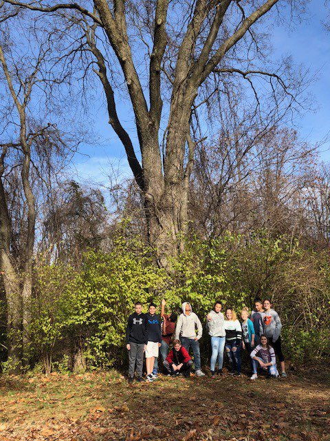 MrsB_ELA's tweet photo. Checking out an ash tree #tuckeverlasting #SpMSWCPS https://t.co/HdKWsjPx8w