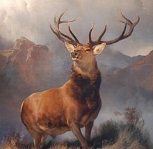 papa_costceaux's tweet image. Red Deer and Elk can mate and produce viable offspring since they are of the same species #geographicisolation #originofspecies #nichollsbiology