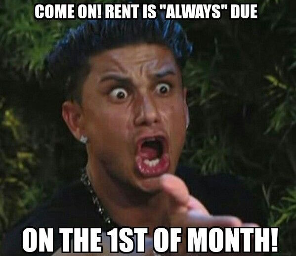 Find a roommate that doesn't forget to pay rent on time. #December1st