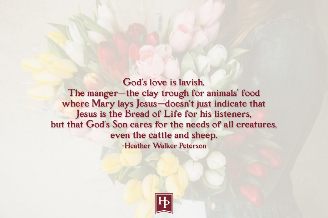 HumanePursuits's tweet photo. @languageNfaith writes about the lavish love of Christ that she is reflecting on during this season of Advent. https://t.co/1cGHxQJilV https://t.co/qSOAiXGB7K
