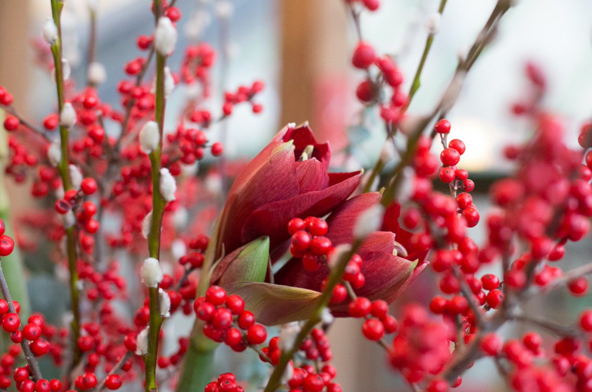 In December we're shining a light on organisations who do brilliant work in #dalston &amp; #hackney On this freezing night, join us giving a big #hackneychristmascheer to Hackney Winter Night Shelter <a href="/HackneyWNS/">HackneyNightShelter</a> who we're collecting donations for this month #AdventCalendar