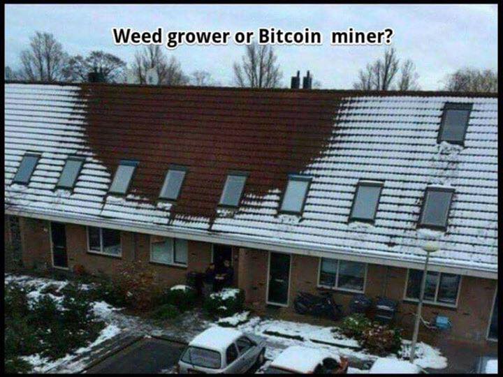 nextlevelpool's tweet image. maybe both?