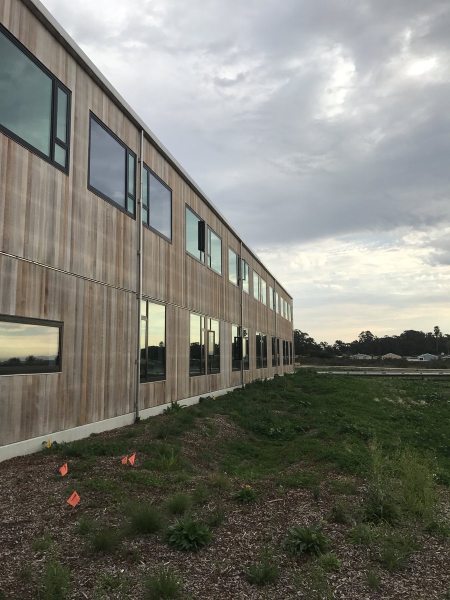 Doriane Weiler tweet media