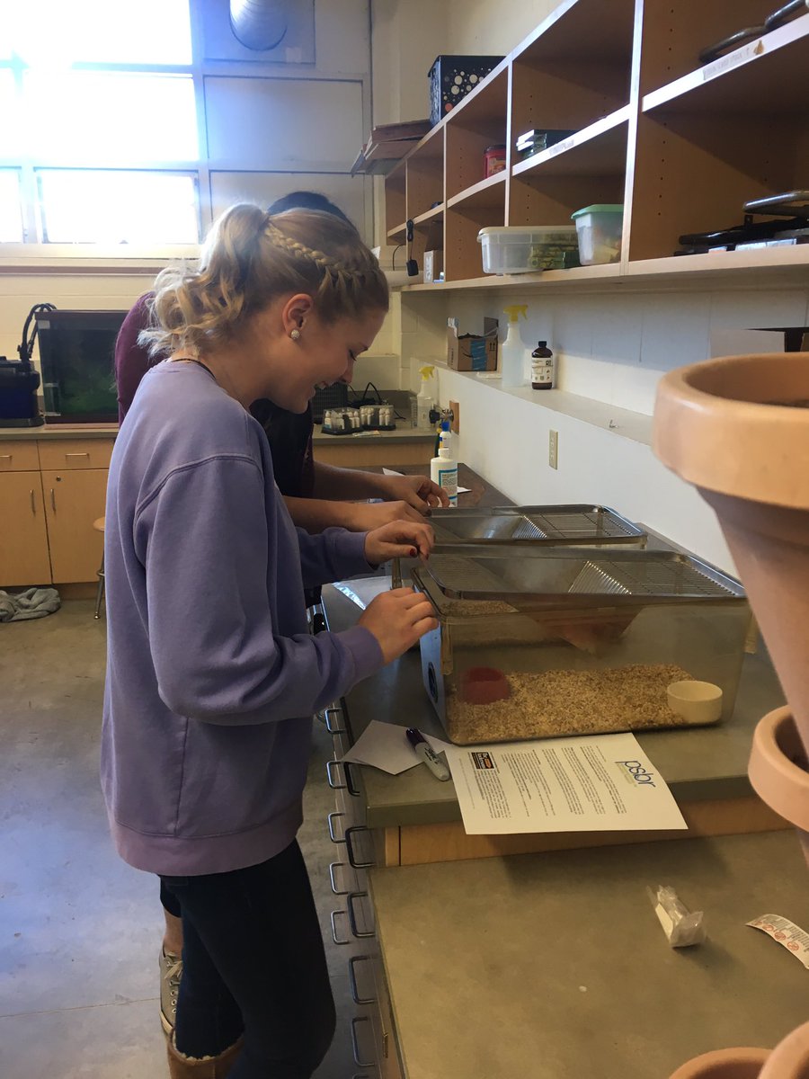 These ladies are excited about their research rats arriving tomorrow! #teachag #agriscience #research #whsd1718