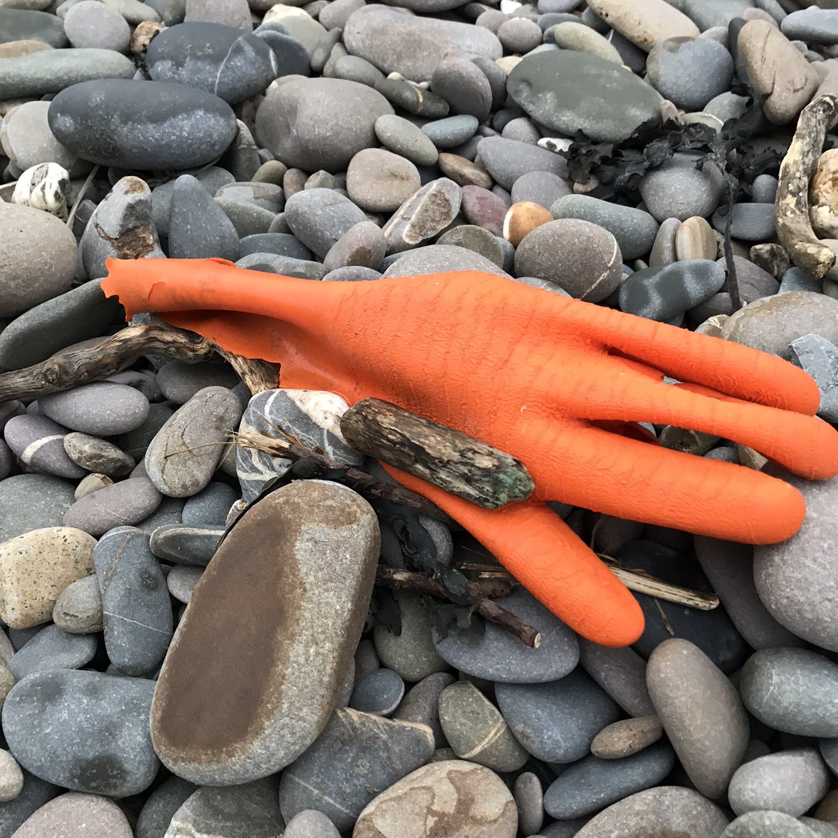 CleanerSeasOrg's tweet photo. We're hoping lots of you will join us for the first #cleanerseashour @CleanerSeasHour every Monday 12.30-1.30 share thoughts, knowledge and everything #CleanerSeas ๐๐๐๐๐๐๐ https://t.co/Qn5gzEbV9Y