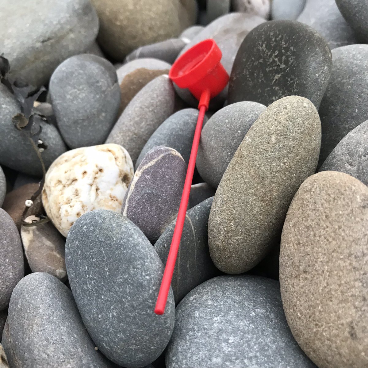 CleanerSeasOrg's tweet photo. We're hoping lots of you will join us for the first #cleanerseashour @CleanerSeasHour every Monday 12.30-1.30 share thoughts, knowledge and everything #CleanerSeas ๐๐๐๐๐๐๐ https://t.co/Qn5gzEbV9Y