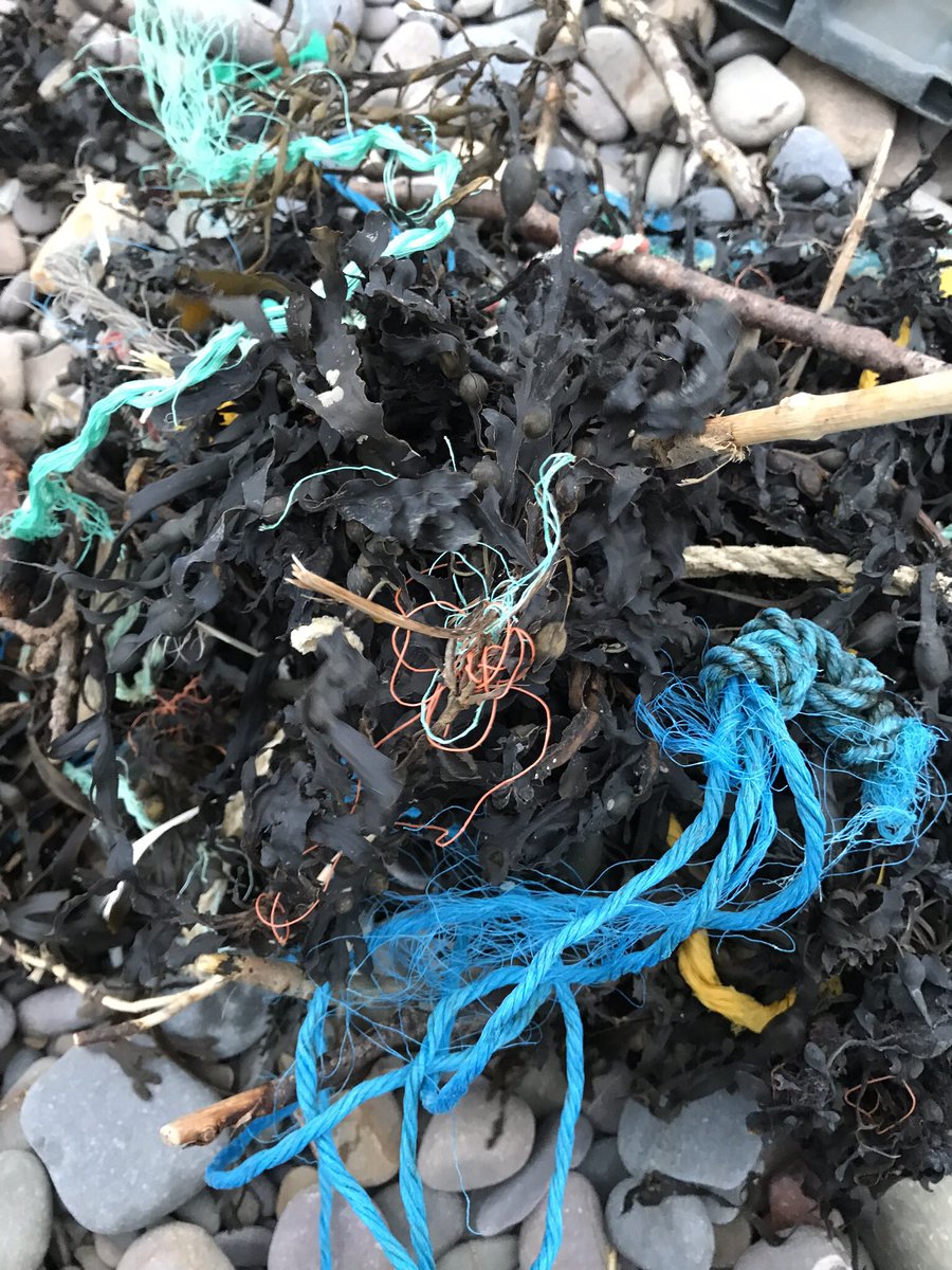 CleanerSeasOrg's tweet photo. We're hoping lots of you will join us for the first #cleanerseashour @CleanerSeasHour every Monday 12.30-1.30 share thoughts, knowledge and everything #CleanerSeas ๐๐๐๐๐๐๐ https://t.co/Qn5gzEbV9Y