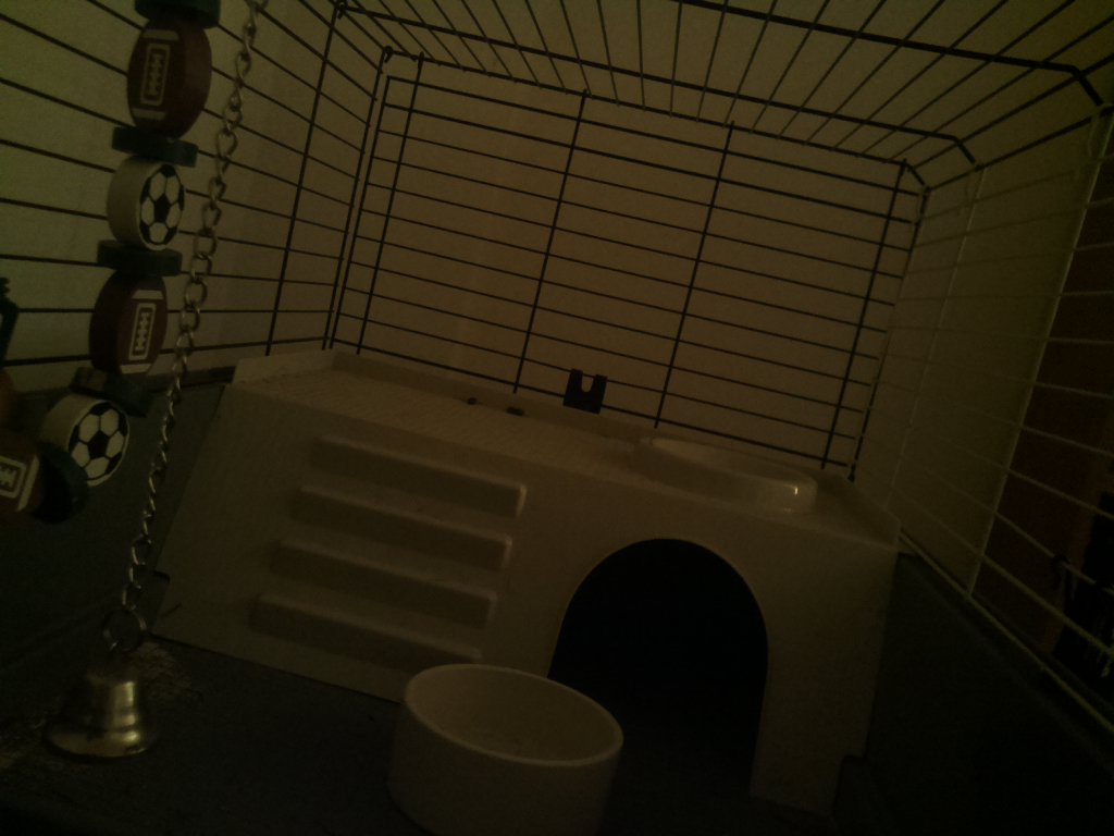 DexVision's tweet image. Dexvision live update at: 2017/11/29 20:00:02