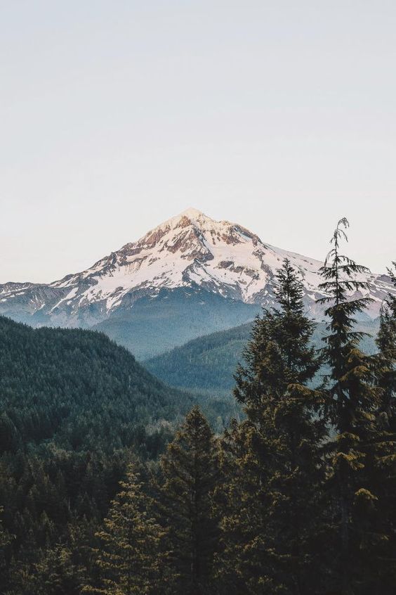 CharlesAger's tweet photo. Climb mountains in the comfiest shoes. 

📷  Pinterest 

#Mountain #TravelInspiration https://t.co/uXCQaknide