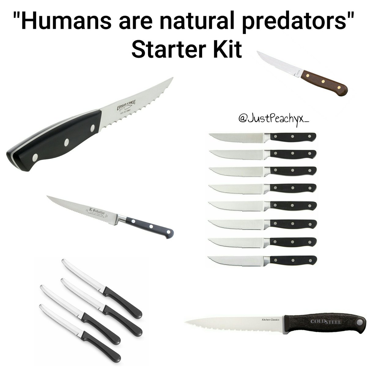 herbivore_club's tweet photo. @John_W_Marshall @NewVeganNews Teeth are a perfect example of our natural herbivory. You can thrive on plants alone, therefore you choose to kill sentient individuals for your pleasure at a greater cost to the earth we all live on.
#WeNeedToEnd CARNISM https://t.co/PXfCVNWXrd