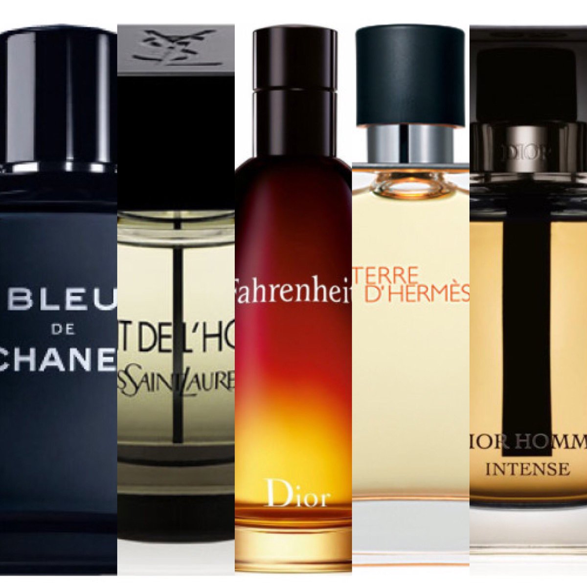 bleu de chanel edp fragrantica