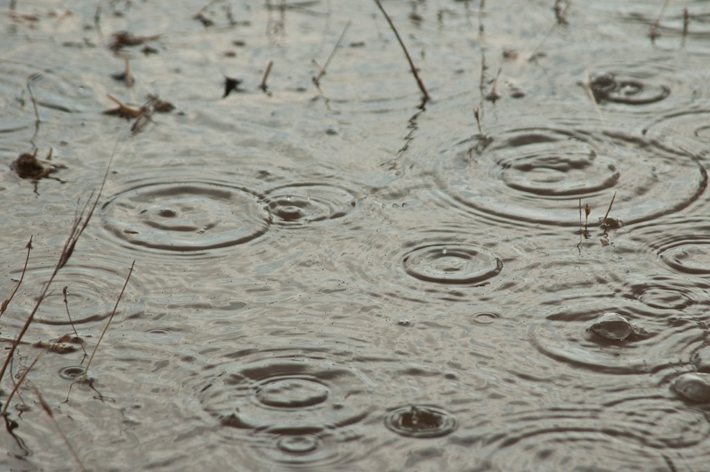 DondiSchwartz's tweet photo. Rain on the River Photography Art Print #decor #artgift https://t.co/rmtFAf7kqh via @Etsy https://t.co/gLK8JOWEjk