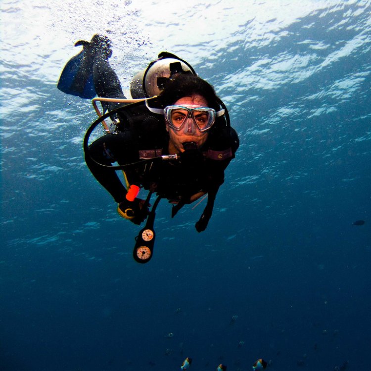 GDCDive's tweet image. Life is better when you’re diving.