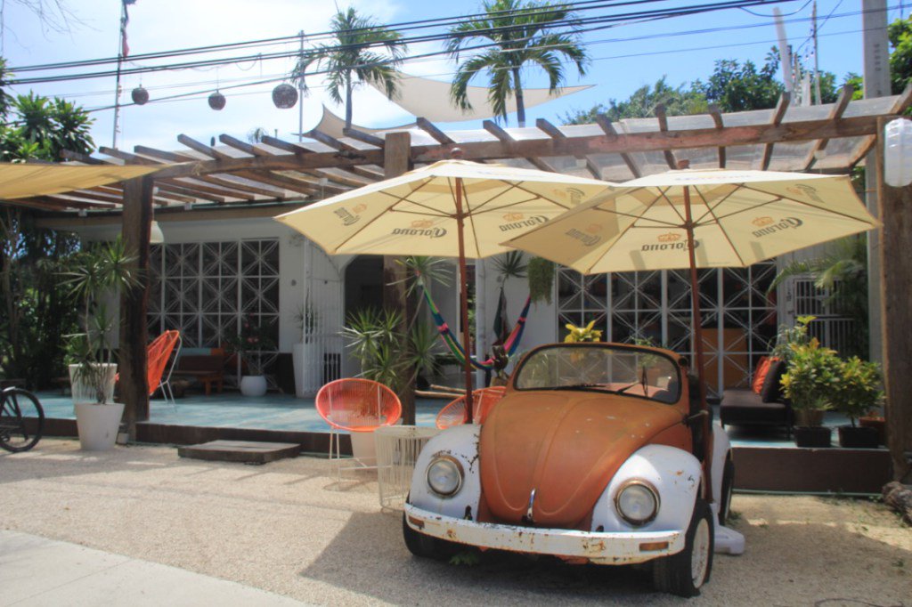 TulumNow's tweet image. Along “Boca Paila” Tulum Beach Road tulumnow.com/along-boca-pai…