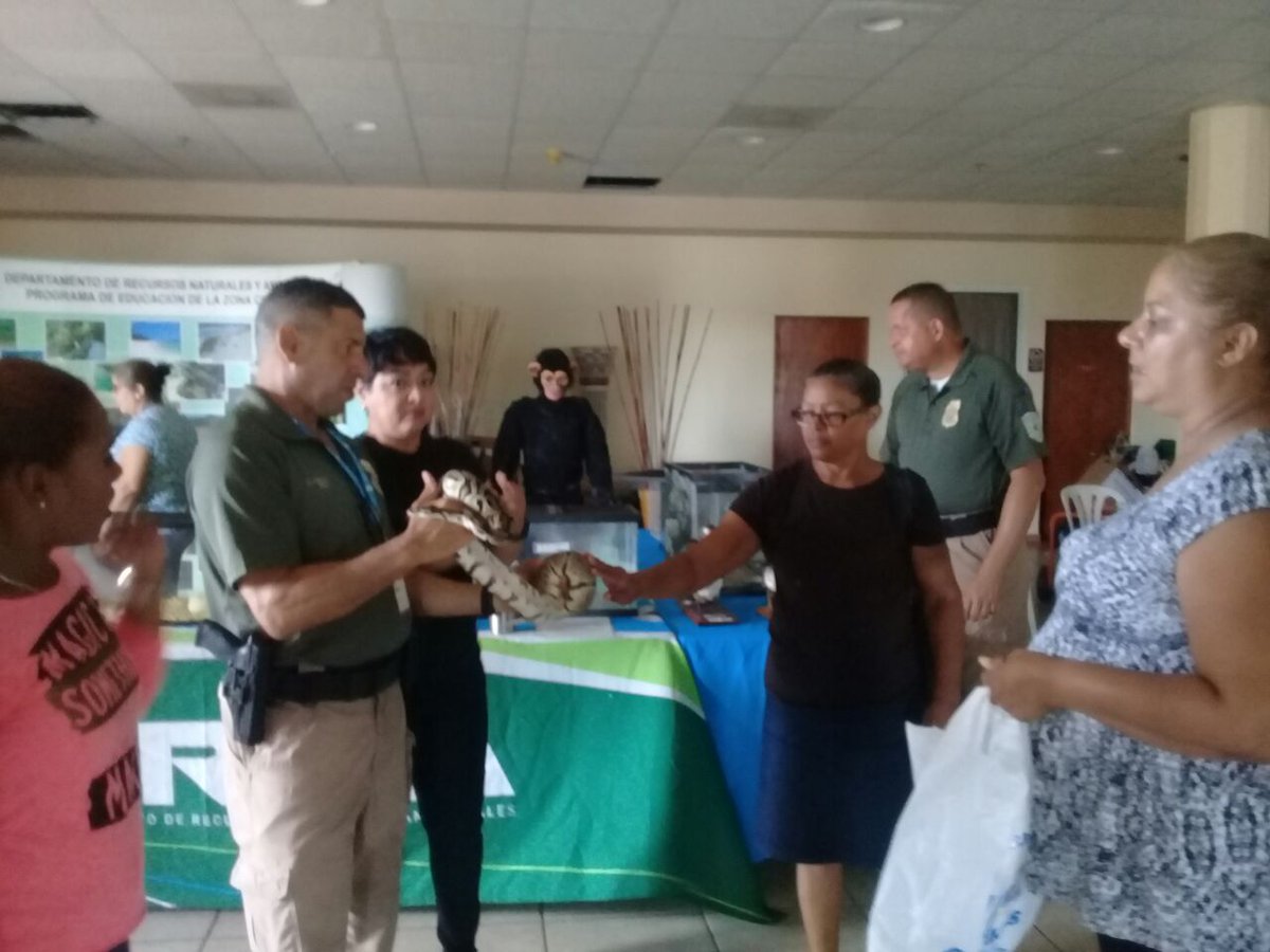 SomosFamiliaPR's tweet photo. Entrega de alimentos a más de 500 familias en #EmergencyStopandGo de Humacao junto al @DRNAGPR #UnEquipo @BeatrizRossello https://t.co/c4iUKogkhT