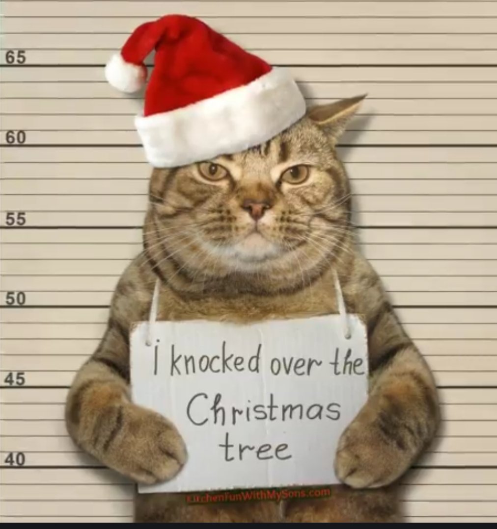 ScottBaio's tweet photo. 🌲🌲🌲 https://t.co/2HZGQuT7sK