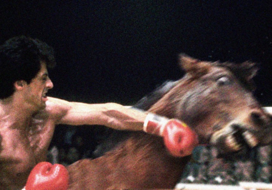 MemoryAssistant's tweet photo. Retweet if you remember the scene in Rocky Vs A Horse where Rocky Balboa punched a horse so hard that its lips flew off! #RockyVersusAHorse #SylvesterStallone #HorseLips https://t.co/m5uKySmqeq