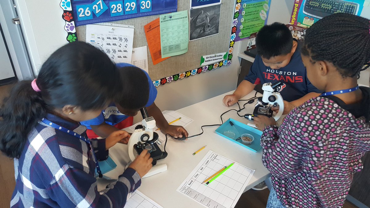 Betsy janese tweet media