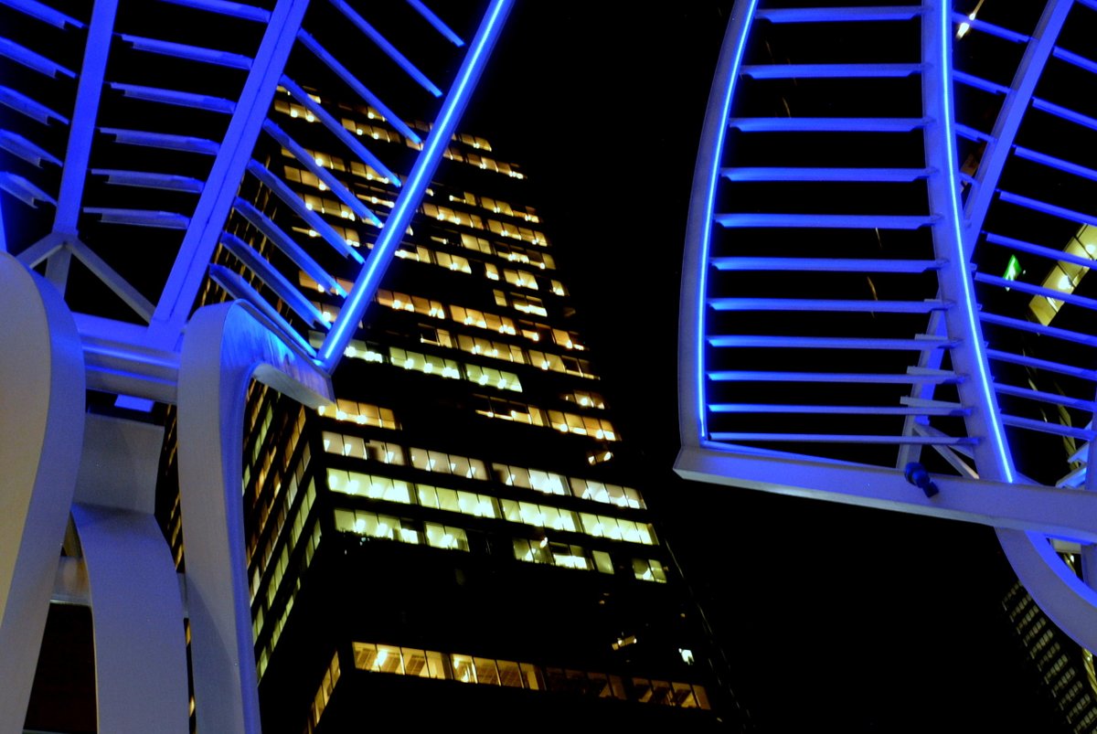 natkaos's tweet photo. The Trees' sculptures on Stephen Avenue at night! #Calgary #photography #coolsight https://t.co/2GWH3Oxiub