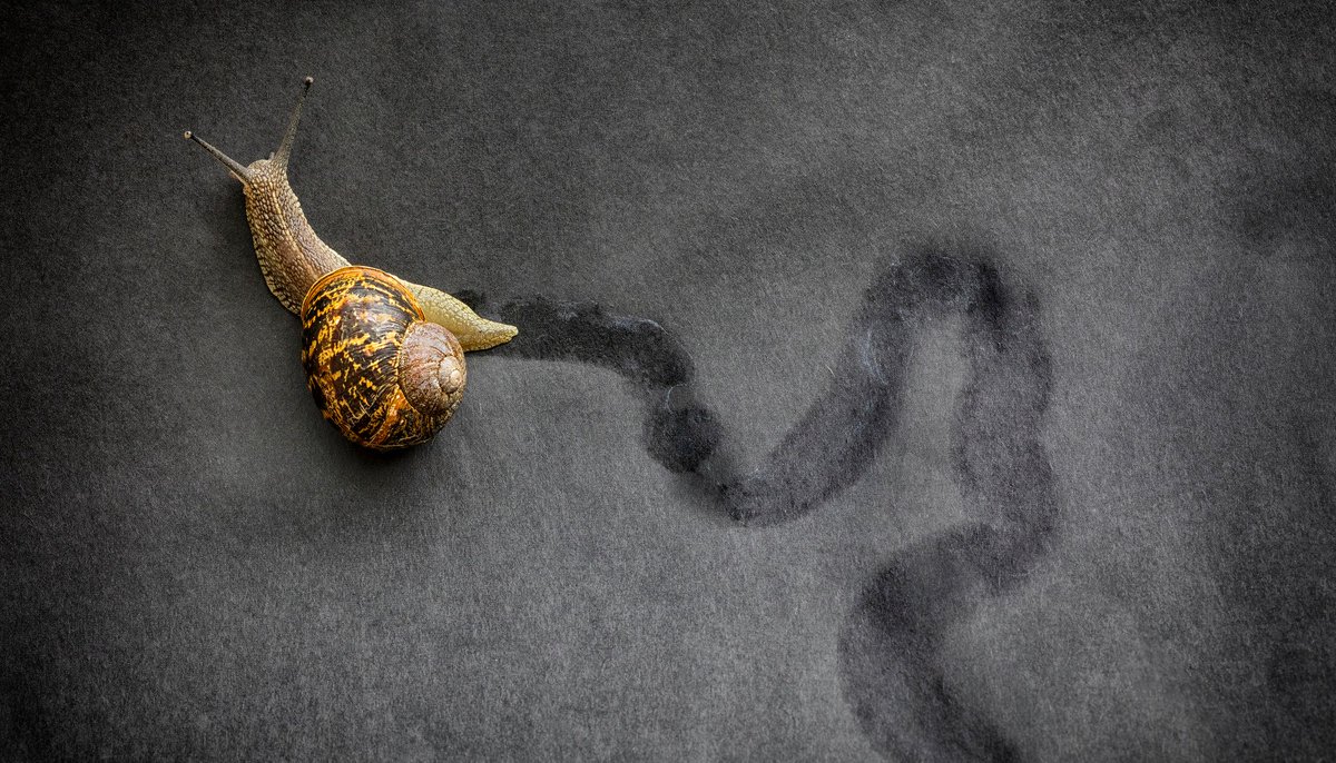 fergus_parker's tweet photo. https://t.co/qrCtjIVhOv Our latest article from SVP Vincent Ehrstrom "Why it’s Critical You Take Action Now to Propel Your Software Tech Business to the Next Stage of its Lifecycle" #BossEquity #M&AWhispers https://t.co/F8WxcOZxSS