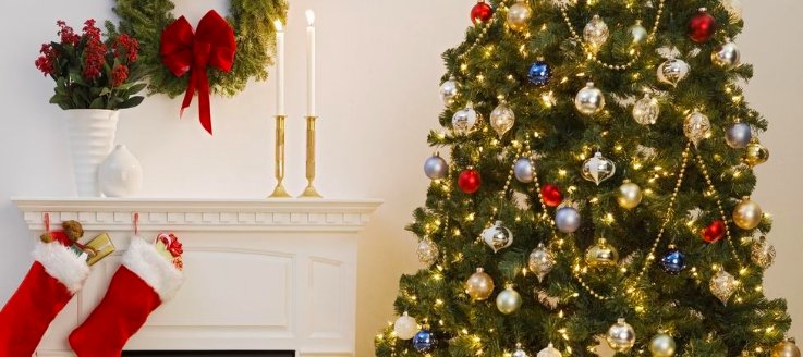 dgreenwalltx's tweet photo. The Fascinating History Behind the Christmas Tree Tradition #christmas #christmastree #tradition https://t.co/n1frg5x6uG https://t.co/COR5G9NqhC