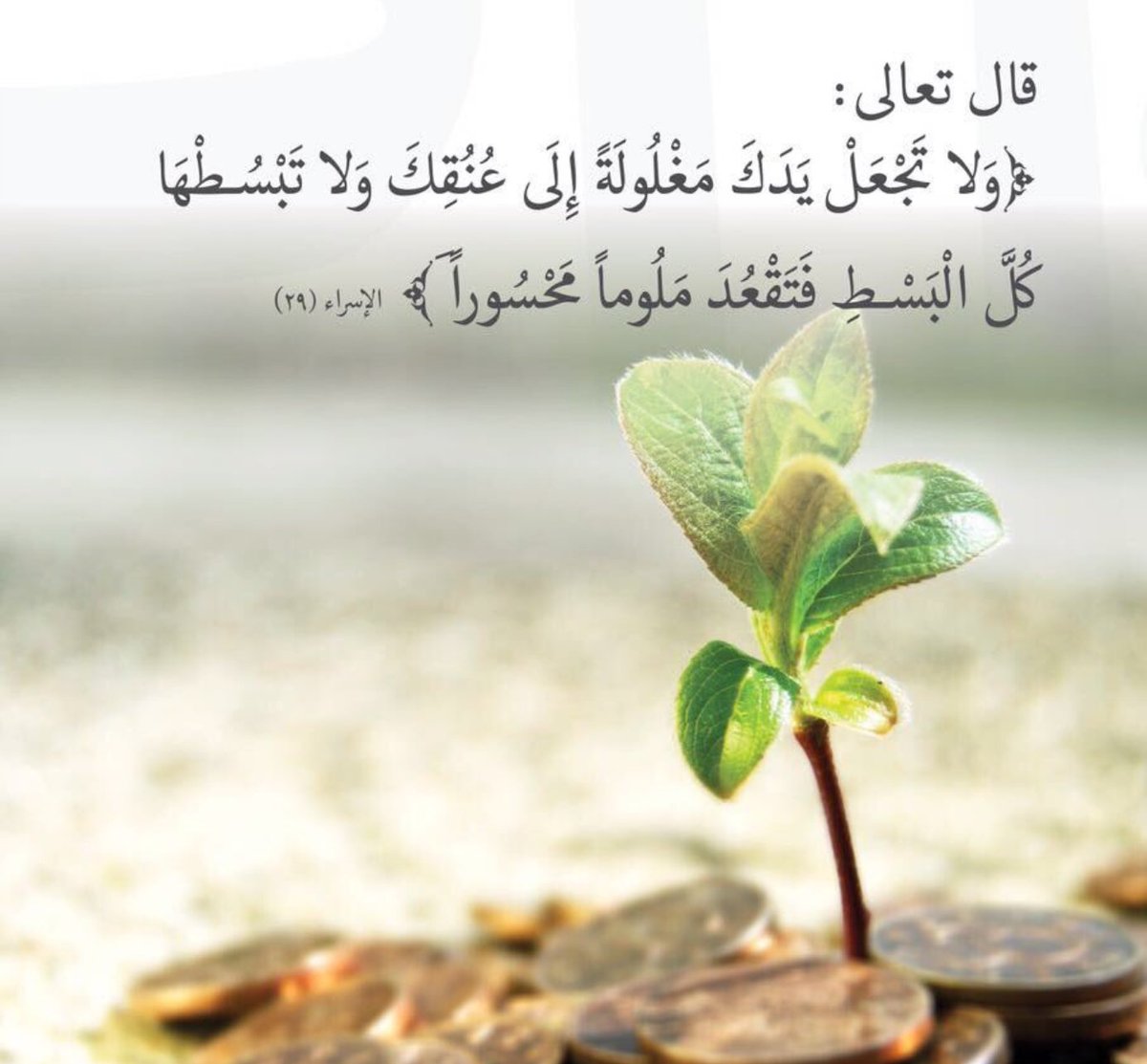 assiri333's tweet photo. #ولاتسرفوا_kku https://t.co/lMk6IXkcey