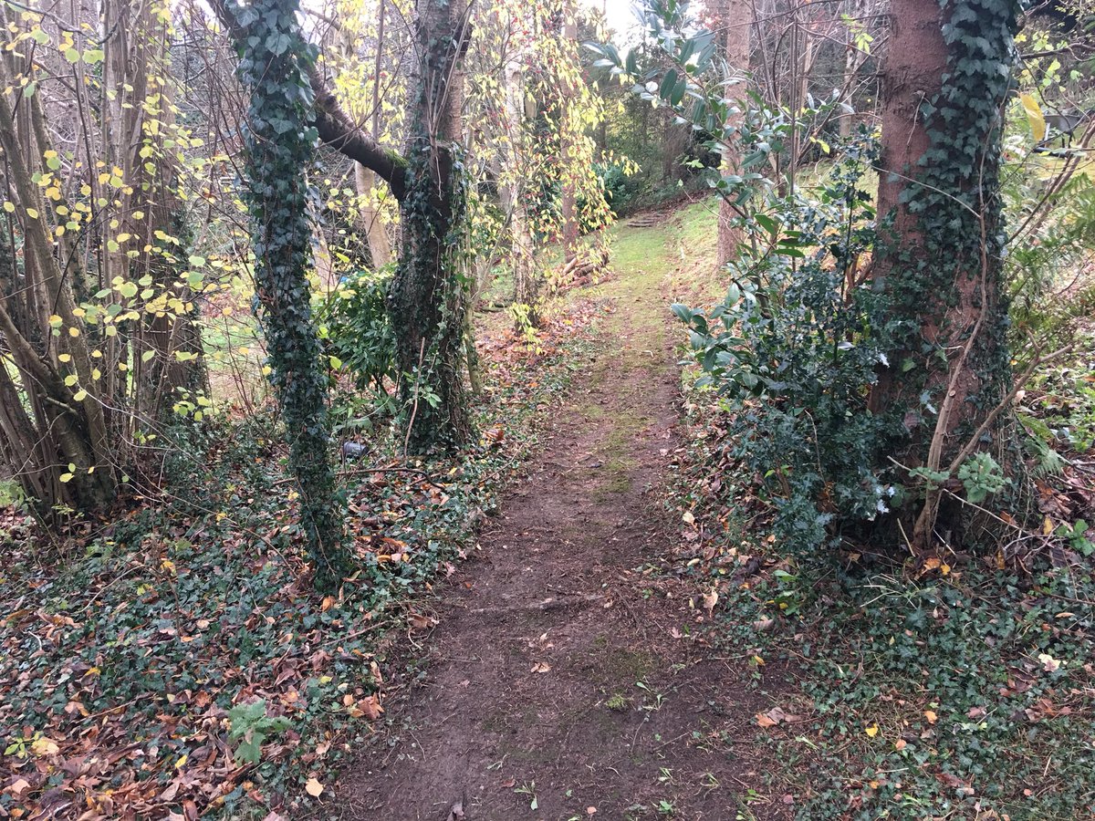 liam_derwen's tweet photo. Nice job to finish off the term with @DerwenWalford students, collecting leaves 🍁 #LeafItToUs #teamwork https://t.co/tTNxl5vncT