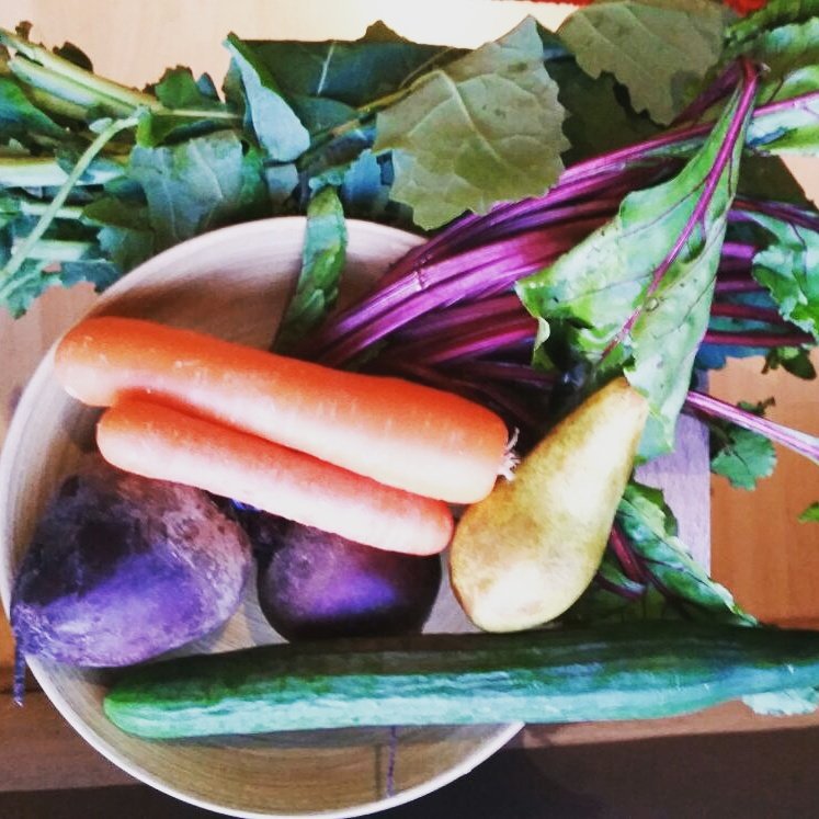 JuiceeBeets's tweet photo. "Rock the Beet" Juice #beautiful #eatarainbow #drinkyourveggies #juiceeverydamnday #juiceegoodness #juiceebeets #detox #goodnessonthego #beets #carrot #beets #feelgoodfood #fuel #healthy #startthedayright #vitamins #plantpowered #cucumberjuice #seasonal https://t.co/1s082gs6bs