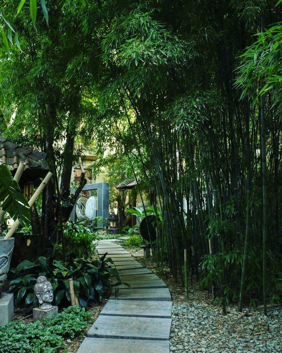 fairlawnsboutiq's tweet photo. A piece of paradise awaits... Our Balinese Spa offers a range of indoor and outdoor treatments #urbanoasis #balinesespa #fivestarfun https://t.co/8hh2xe9xIg
