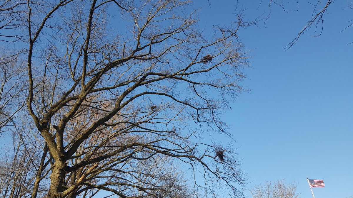 MissMcEleneyK's tweet photo. When weβre gifted such a perfect autumn morning, like today, you take science outside... nature walk to learn about the habitat & animals around @WoodcrestES @scottgoldthorp #NovThanksChallenge https://t.co/vOXWGk39Qm