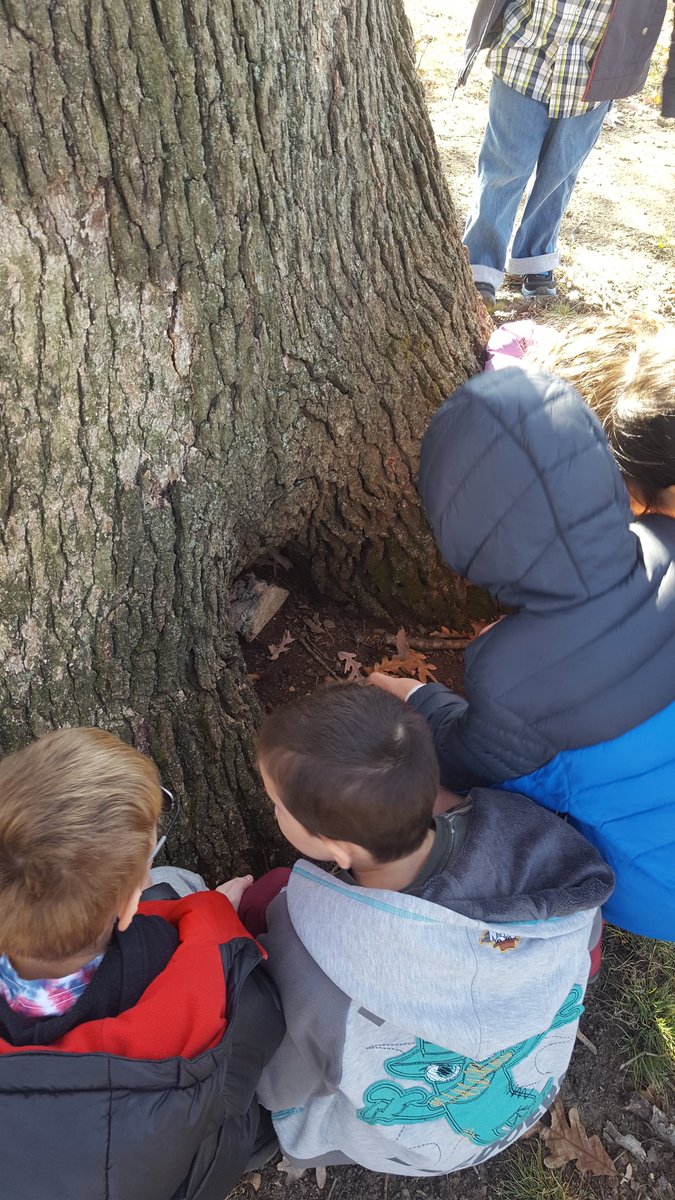 MissMcEleneyK's tweet photo. When weβre gifted such a perfect autumn morning, like today, you take science outside... nature walk to learn about the habitat & animals around @WoodcrestES @scottgoldthorp #NovThanksChallenge https://t.co/vOXWGk39Qm