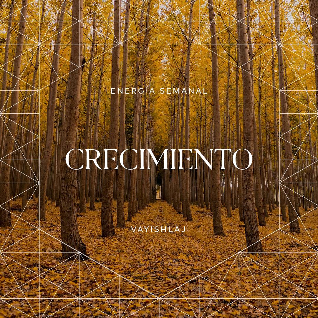 A todos nos afecta mucho nuestro entorno. Usa la energía de esta semana para reconocer el crecimiento que proviene de elegir entornos positivos, fortalecer las relaciones y dejar a un lado las influencias negativas.