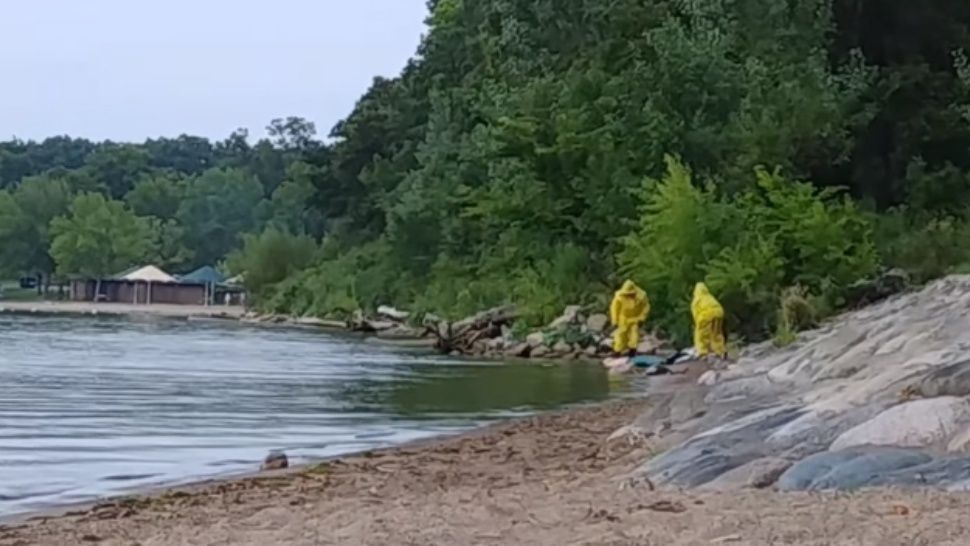 z_proyect's tweet photo. #ARIELSOVO El día en que murió la infancia: sacan cuerpo de “La Sirenita” de un lago en Minnesota 

🧜‍♀️https://t.co/tJFaEyf9oH https://t.co/fW1zjzBQON