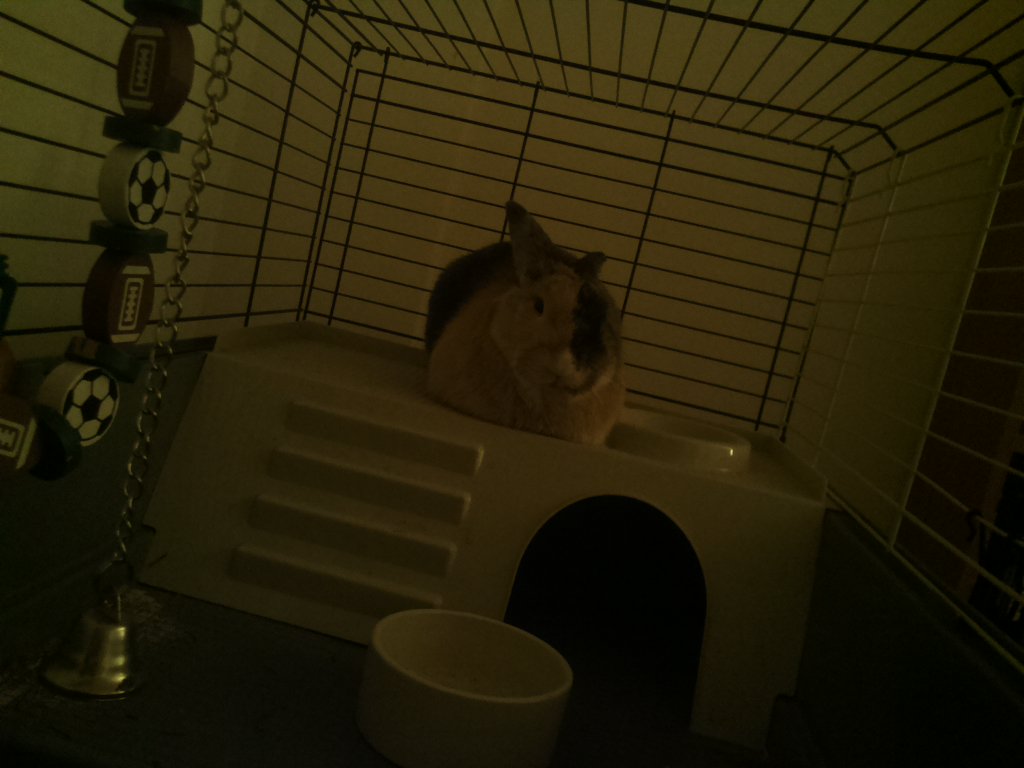 DexVision's tweet image. Dexvision live update at: 2017/11/29 17:00:02