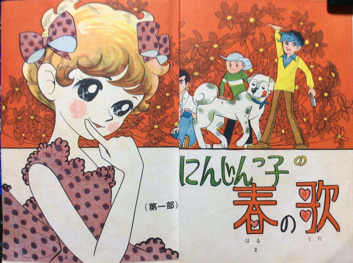 全部で28巻まで刊行されたという矢代まさこのようこシリーズ(若木書房