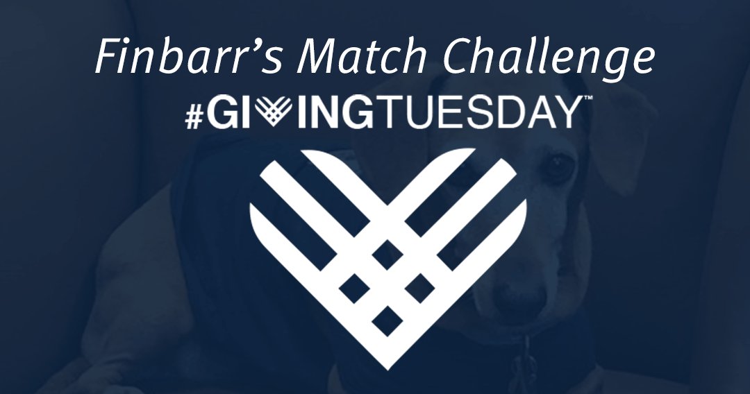 jocelyn_dash's tweet photo. Finbarr the Fabulous pup and his humans, President Taylor Eighmy &amp; Peggy Eighmy, challenge you on #GivingTuesday - https://t.co/LHG5DpbfNq https://t.co/UXSFldsnrg