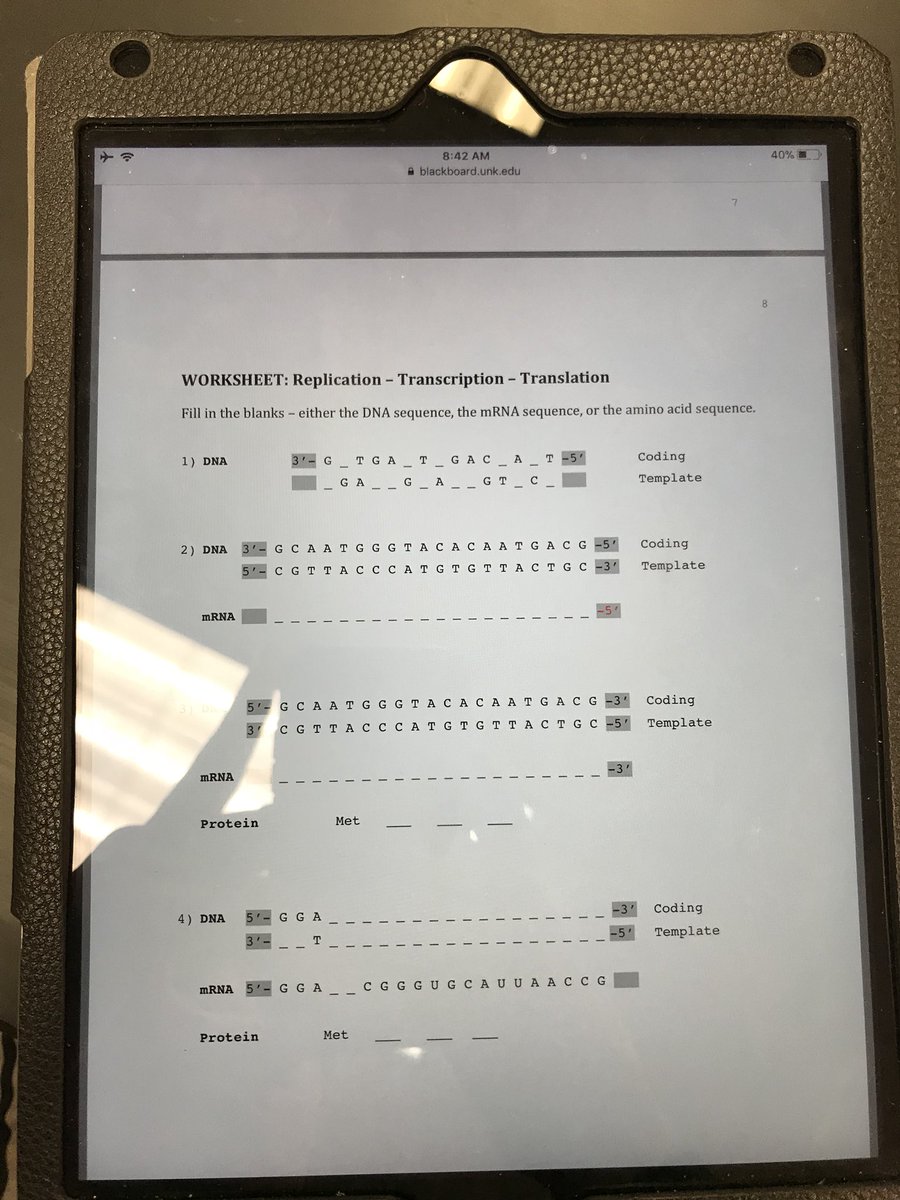 MummConnor's tweet photo. Tracking the DNA dogma @UNKBiol106CW #106F17week14 https://t.co/Irrf00DH8S