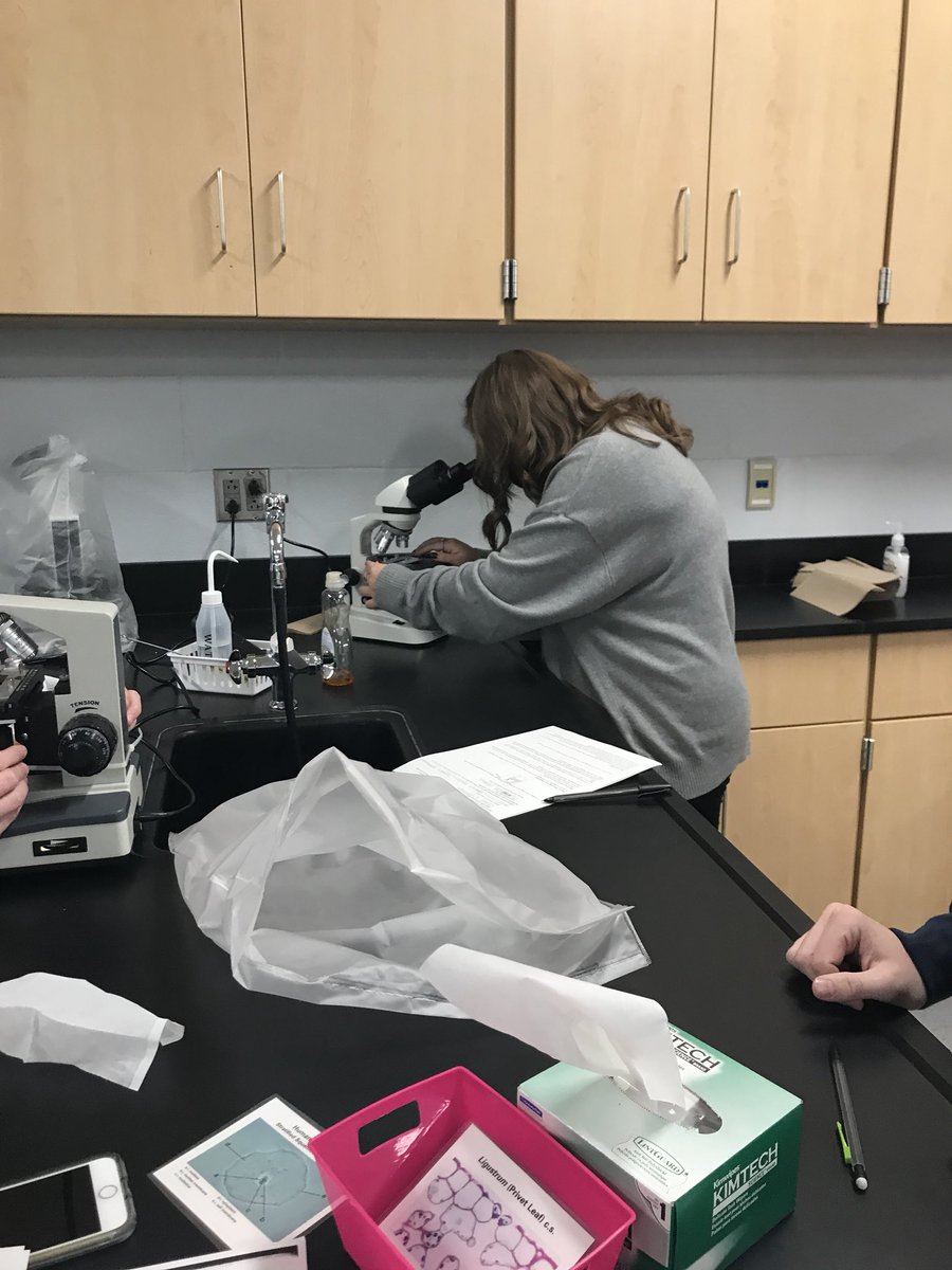 ocbms's tweet photo. @OldhamCoArvin @OldhamCoSchools learning microscopy techniques #celltastic #DoScience #PLTW #apbio https://t.co/KdZJy5RIO9