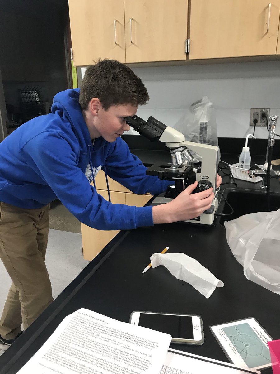 ocbms's tweet photo. @OldhamCoArvin @OldhamCoSchools learning microscopy techniques #celltastic #DoScience #PLTW #apbio https://t.co/KdZJy5RIO9