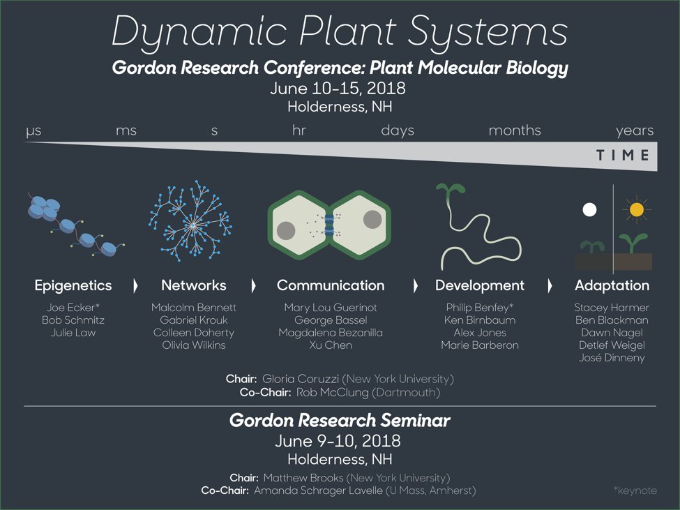 Sally Warring tweet media