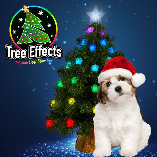 SeMGRATIS's tweet photo. Tree Effects Tabletop Light Show Tree With FREE Pet Paw Caps!  https://t.co/ZBKtk7N7H6 #Christmas #Christmasdeals https://t.co/xIYiVnVgrc