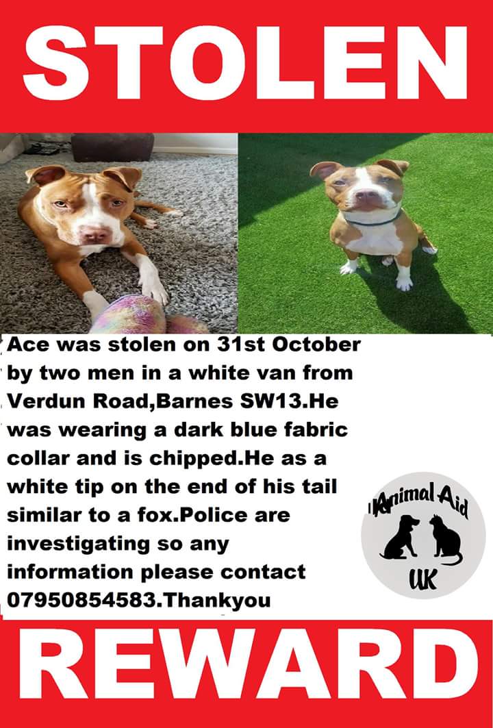 @BDCH  Someone has info 're #stolenace pls pls let us know where he is. He is desperately missed #findace #Barnes #London facebook.com/groups/2030192…